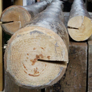 天然木　錆丸太（さびまるた）DIYや古民家再生の材料などに