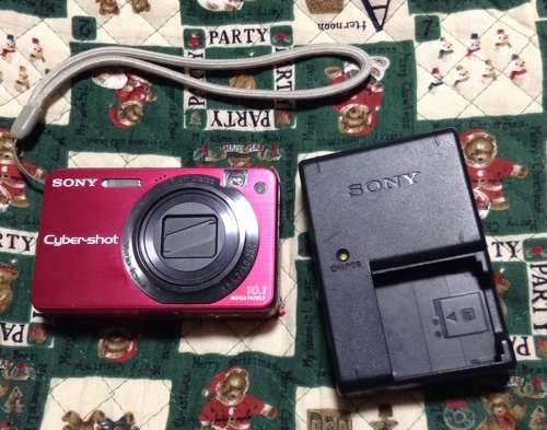 SONY DSC-W170 5倍光学ズーム 1010万画素