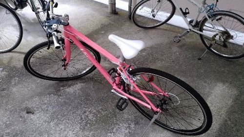 ＧＩＡＮＴ　ＥＳＣＡＰＥ　Ｒ３　Ｗ　2017年ＮＥＷ　サーモンピンク　ＸＸＳ