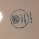 希少！　Villeroy & Boch ワイルドローズシリーズ