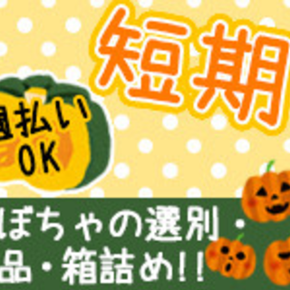 ”かぼちゃの選別”期間は自由★時給1000円以上"三宮～送迎有"