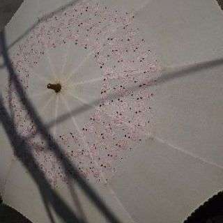 お話し中❗昭和レトロな日傘☀