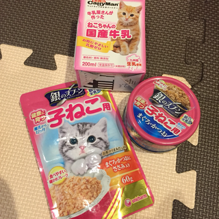 子猫ちゃん餌