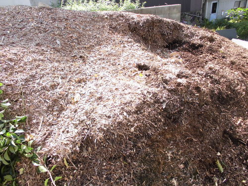 植木剪定チップ堆肥畑 花壇の肥料 土壌改良材にカブトムシの住み家にも 回目 Mty 京都の家庭用品 ガーデニング の中古あげます 譲ります ジモティーで不用品の処分