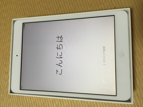 iPad mini 16G wifi 送料無料（受付中）