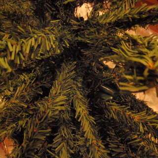 【受渡完了】　クリスマスツリー（約160cm）本物のモミの木みた...