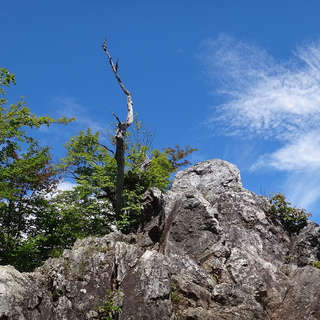 百名山企画【埼玉編】両神山1,723mへの旅