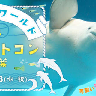 11/23(水・祝)可愛い海の仲間たちがお出迎え♪お散歩しながら...