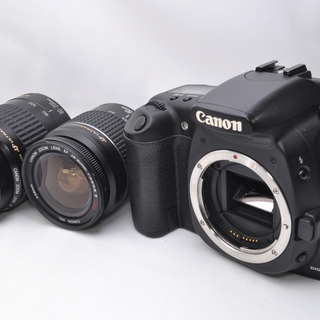 ★★★完売★★★　　●付属品多数●極上美麗 Canon キャノン EOS 20D ダブルレンズ #80
