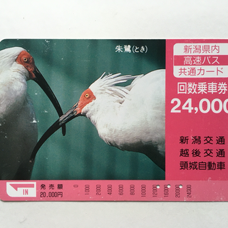 【送料無料】【残高1万2千円分程度】新潟県内 高速バス 共通カー...