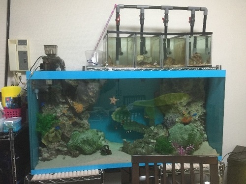 120センチOF水槽セット