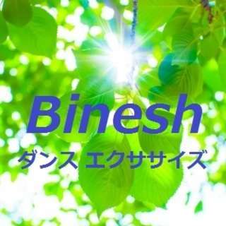 11月23日（水祝） 【 入門レベル 】 Binesh（ﾋﾞﾈｯ...