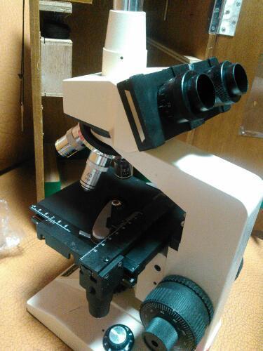【返品交換不可】 ビクセン　顕微鏡　FBL1000 顕微鏡