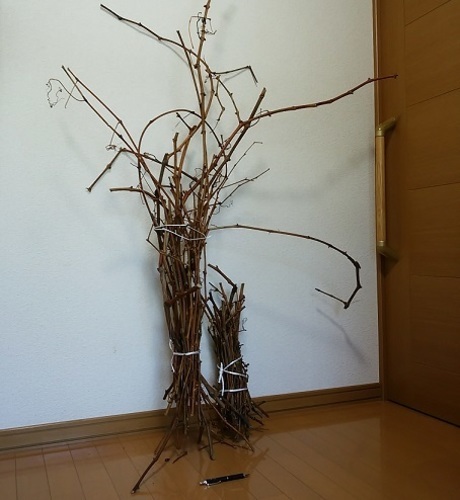 山ぶどうのつるクリスマス用リース作りかご編みの材料にいかがですか Yoco 帯広のその他の中古あげます 譲ります ジモティーで不用品の処分