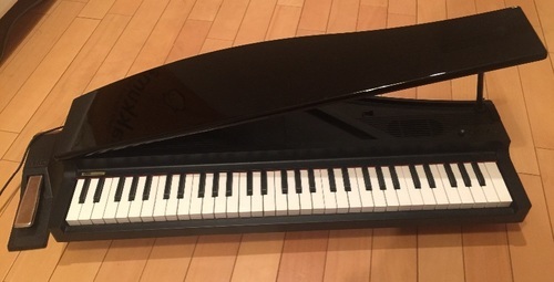 鍵盤楽器、ピアノ Korg micro piano + pedal