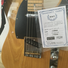 テレキャスギター Fujigen NTL-100