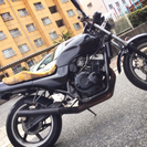 JADE250 ジェイド250  ゼファー XJR CBX CBR 