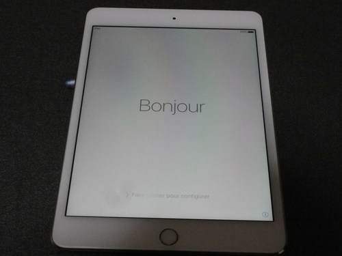 終了！Ｋ様ありがとうございました◎Apple iPad mini 4 16GB MK6L2J/A ゴールド
