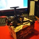 値下げ 再投稿　ABU　Cardinal754