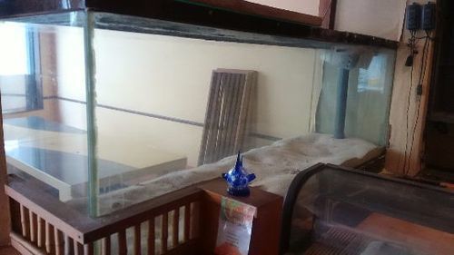 大型水槽210*83*54  69800円