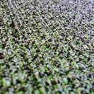 【極上美品】高級家具フクラ　3人掛けソファー