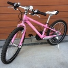 ルイガノ　ジュニア用22インチMTB　自転車　フロント3段×リア6段変速ギヤ