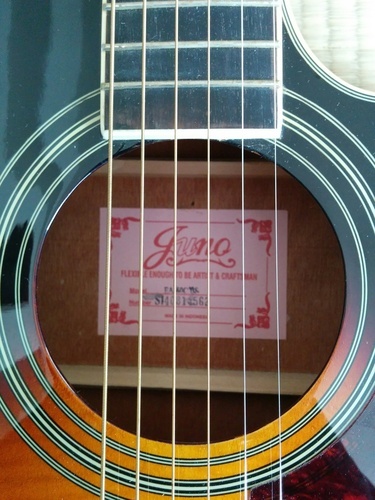 エレアコ　ギター
