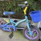 幼児用　12インチ自転車　ブリジストン　WANPAKU