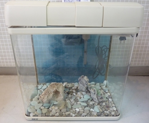 すぐに金魚が飼えます 金魚水槽 小 一式 浄化装置２種付き むーぽん 武蔵小山のその他の中古あげます 譲ります ジモティーで不用品の処分