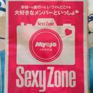 Sexy Zone フォトアルバム ジャニーズ事務所〈公認〉