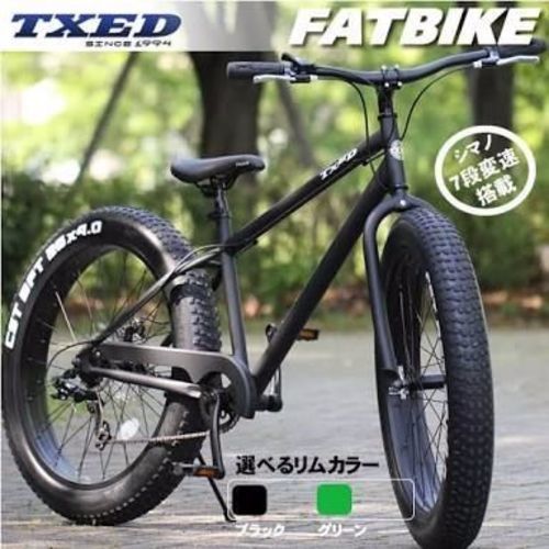 TXED ファットバイク ビーチクルーザー