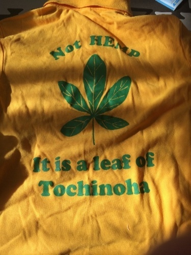 値下げ！フットサル 8/15まで値下げ！ Predator 18.1 SG サッカー