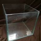 20cmキューブガラス水槽