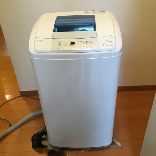 ハイアー 2015年製 洗濯機 引取り限定