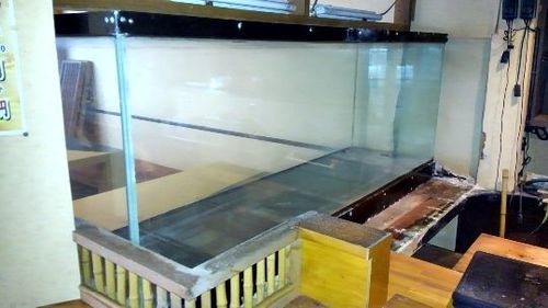 大型水槽巾210*高さ83*奥行54  88000円