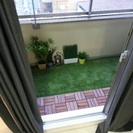 ベッド、テレビ、その他家具家電一式