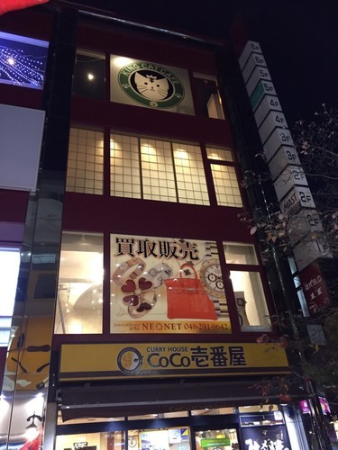 猫カフェ猫の王様川口店オープン なつこ 川口のカフェの無料広告 無料掲載の掲示板 ジモティー 猫カフェ猫の王様川口店オープン なつこ 川口のカフェの無料広告 無料掲載の掲示板 ジモティー