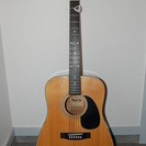 Morris W-15 アコースティックギター アコギ
