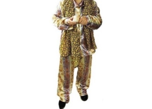 PPAP ピコ太郎衣装 ４点セット