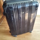スーツケース (Lサイズ)