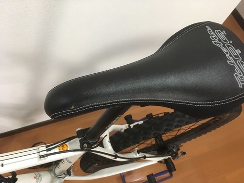 価格相談 LOUIS GARNEAU ルイガノ XC BART 人気  