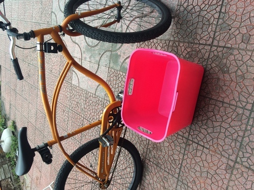 ビーチクルーザー　サーフボードキャリア　ウェットボックス