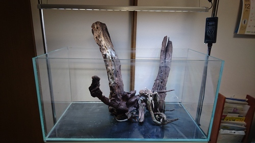 水草用　90*45*45水槽一式　アクアリウム