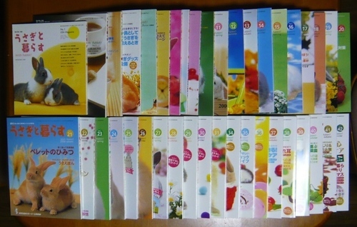 【一部譲渡済】 うさぎ関連雑誌 47冊 うさぎと暮らす うさぎの時間 うさぎがピョン