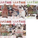 【一部譲渡済】 うさぎ関連雑誌 47冊 うさぎと暮らす うさぎの時間 うさぎがピョン