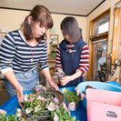 寄せ植え教室