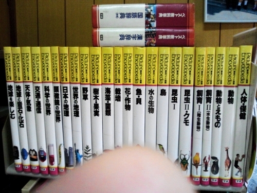 百科事典一式　1996年版　学習研究社の百科事典です。合計52冊です。