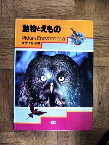 百科事典一式 1996年版 学習研究社の百科事典です。合計52冊です  