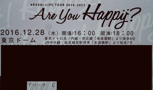 嵐 12/28 アリーナCブロ 2連 - コンサート