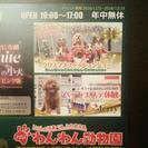 12月25日まで有効。岡崎のわんわん動物園チケット